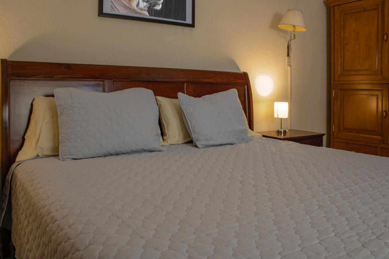 Hotel Gran Domo Леон Екстер'єр фото